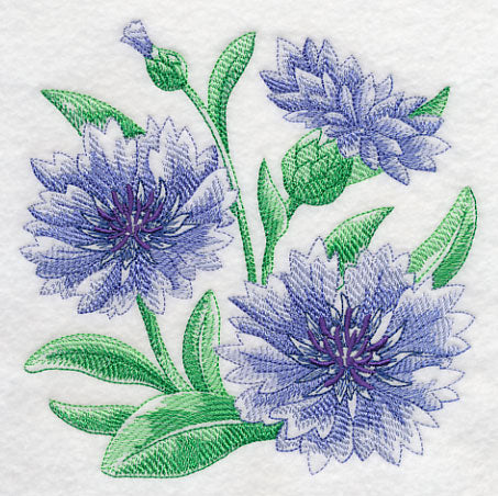 Cornflower Sketch - Image 3