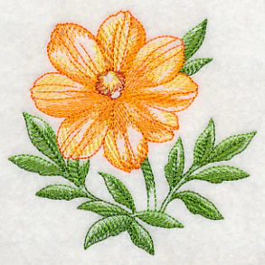 Cosmos Beauty - Image 5