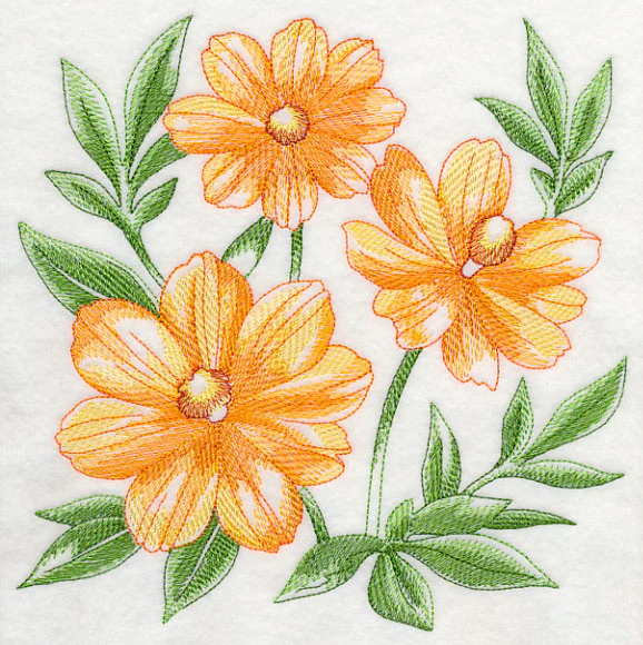 Cosmos Sketch