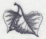 Cottonwood Leaf - Image 3