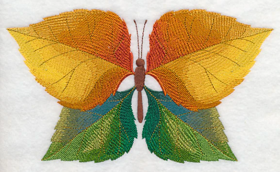 Cottonwood Leaf Butterfly - Image 3