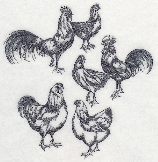 Country Chicken Sketch - Image 2