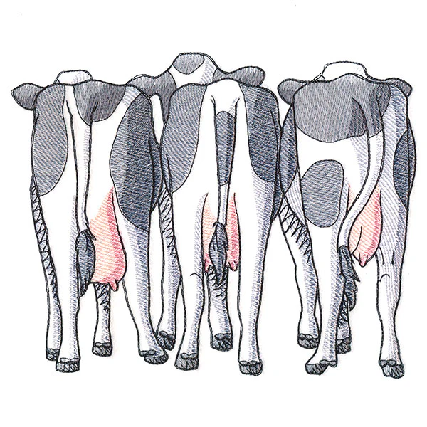 Cow Trio - Back