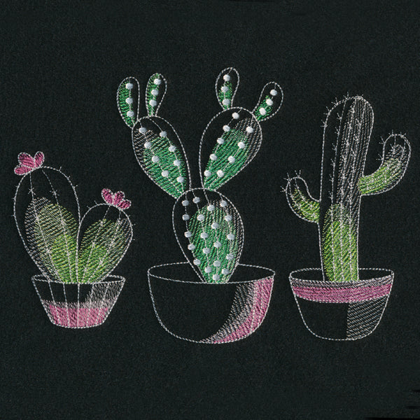 Crazy for Cacti Trio - Image 2