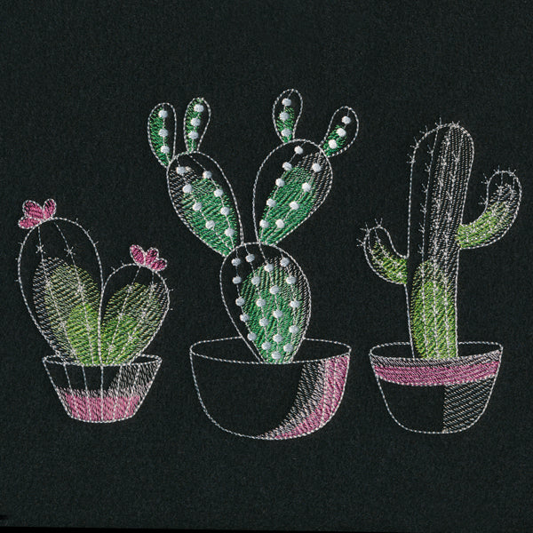 Crazy for Cacti Trio - Image 3