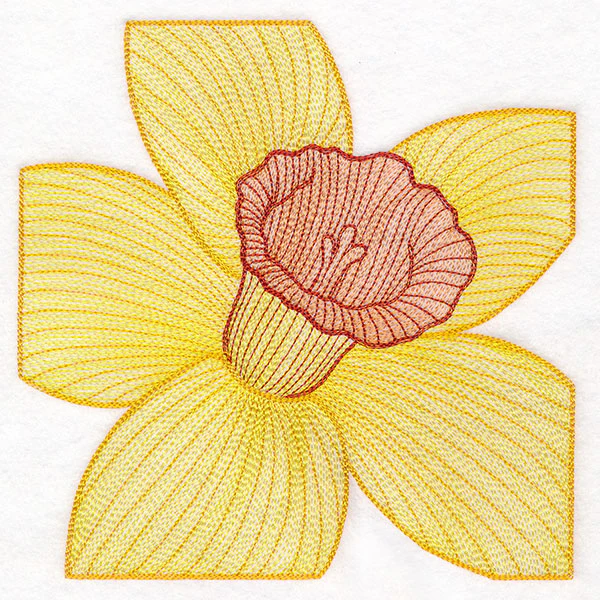 Creative Contour Macro Daffodil - Image 2