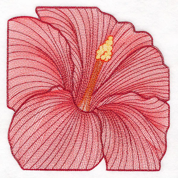 Creative Contour Macro Hibiscus - Image 3