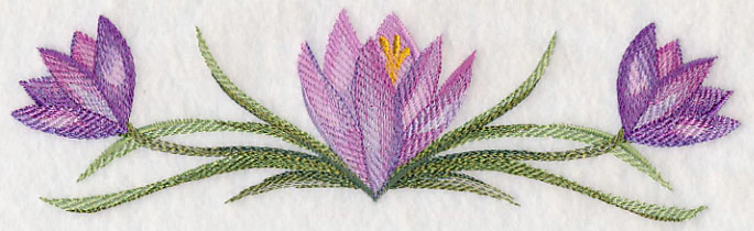 Crocus Border in Watercolor - Image 2