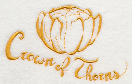 Crown of Thorns Squash - Image 3