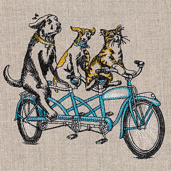 Cruisin' Pets on a Tandem - Image 3
