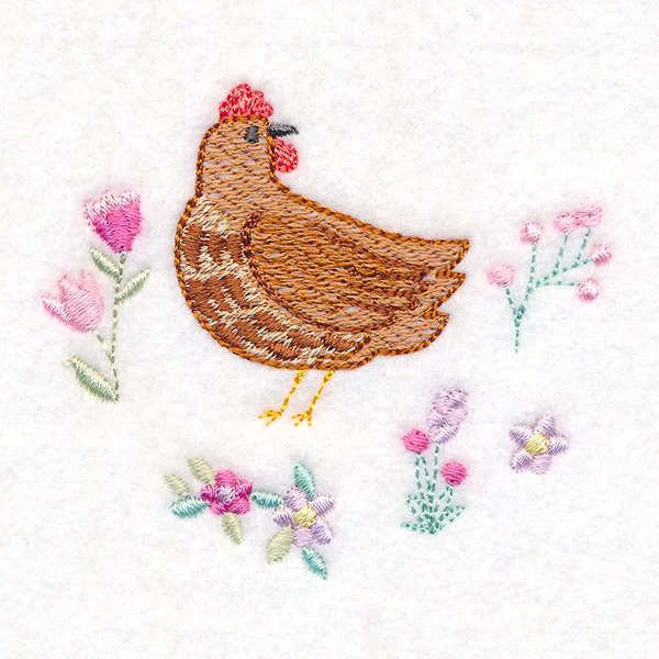 Curious Spring Chicken - Image 2