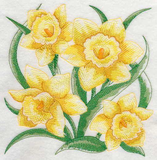 Daffodil Sketch - Image 2