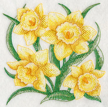 Daffodil Sketch - Image 4