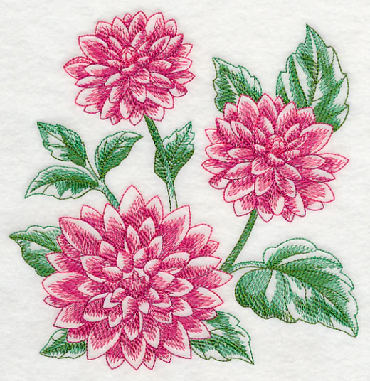 Dahlia Sketch - Image 2