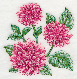 Dahlia Sketch - Image 5