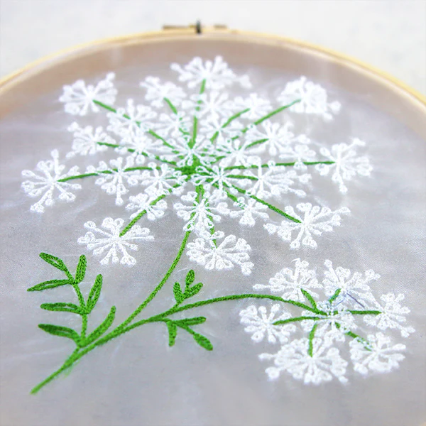 Dainty Queen Anne's Lace - Image 10