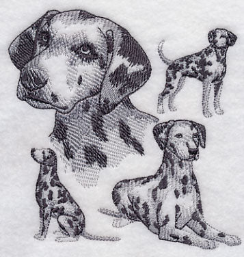 Dalmatian Sketch - Image 4