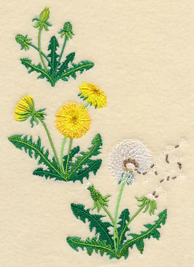 Dandelion Collage - Image 4