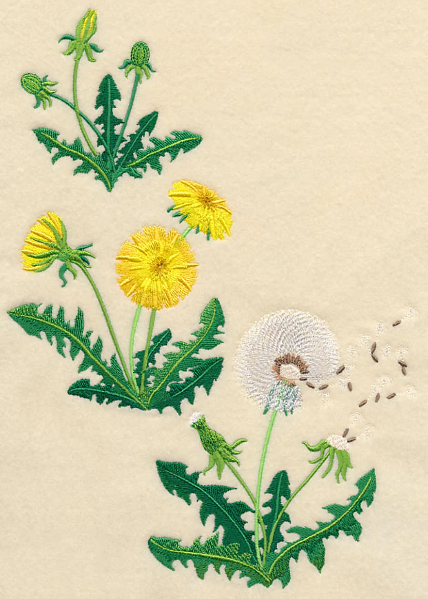 Dandelion Collage - Image 5