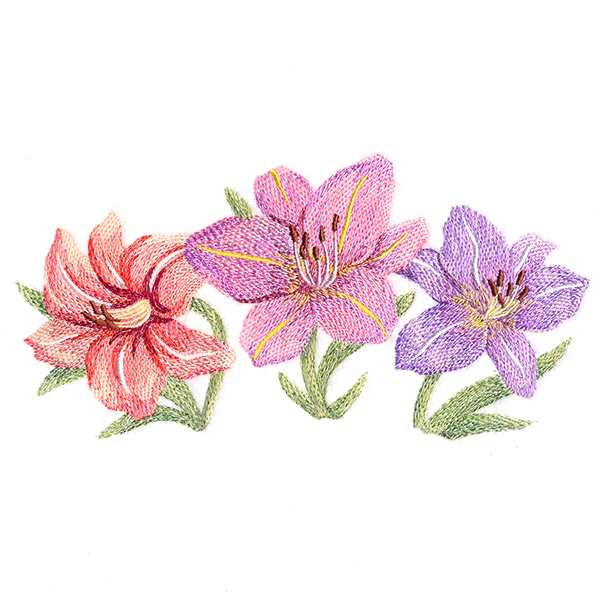 Daylilies in Watercolor - Image 4