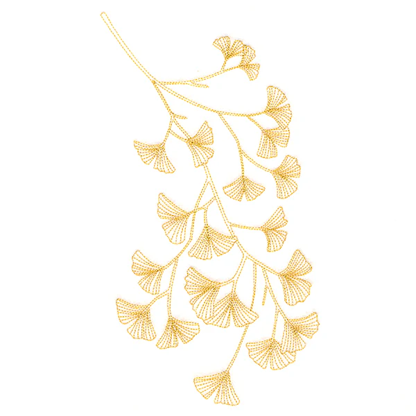 Delicate Branching Ginkgo - Image 2
