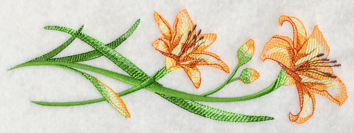 Delicate Daylilies Border 1 - Image 4