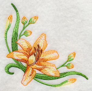 Delicate Daylilies Corner 1 - Image 3