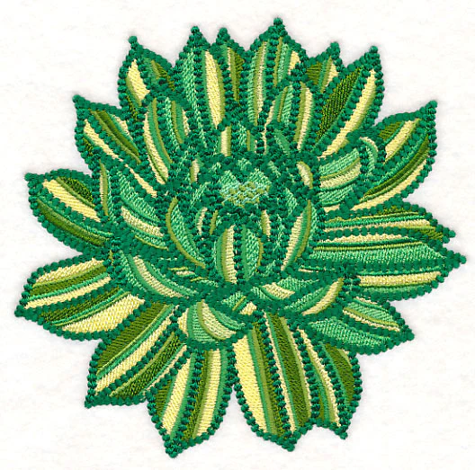 Delicate Garden Succulent - Image 2