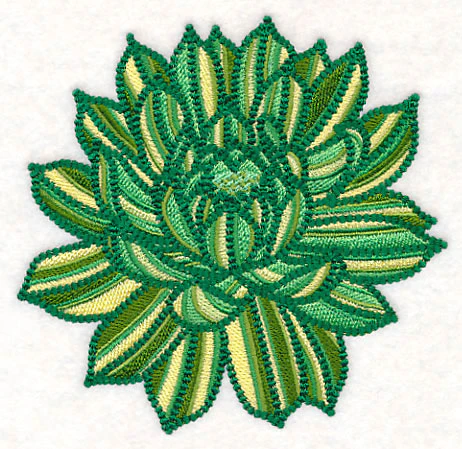Delicate Garden Succulent - Image 3