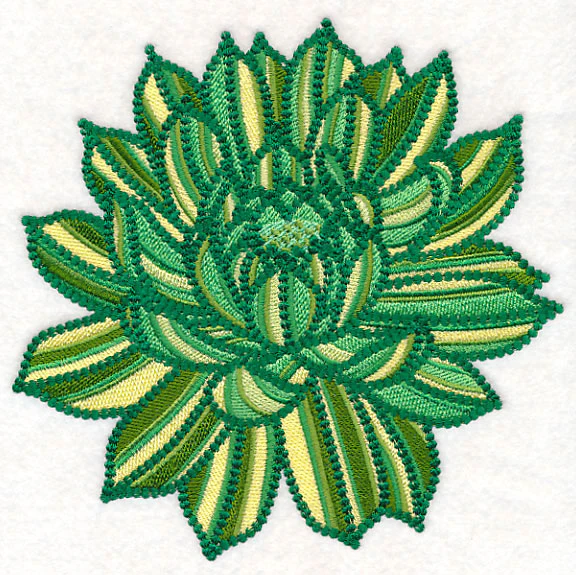 Delicate Garden Succulent - Image 5