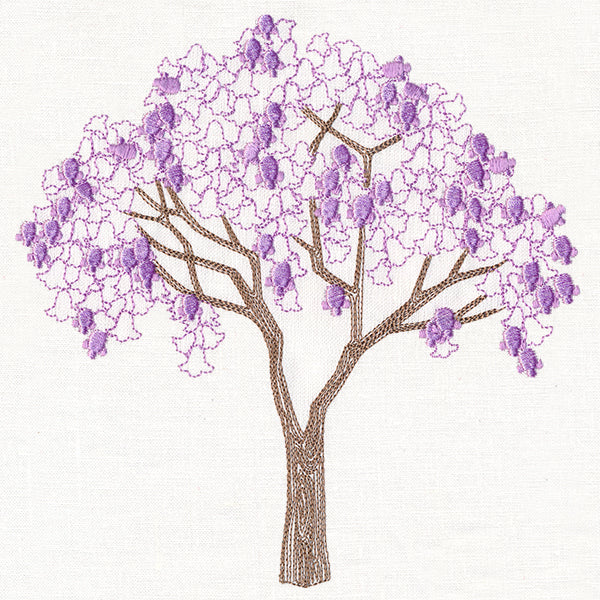 Delicate Jacaranda Tree - Image 2