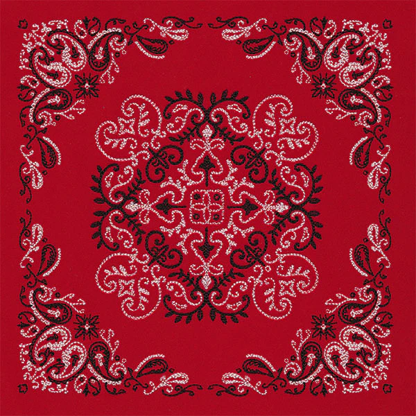 Delicate Paisley Pattern Bandana Pillow Pair - Image 10