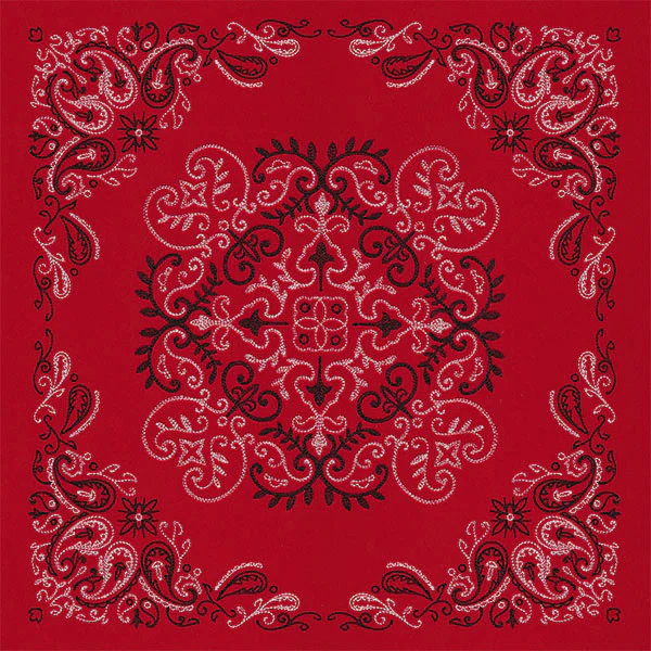 Delicate Paisley Pattern Bandana Pillow Pair - Image 2