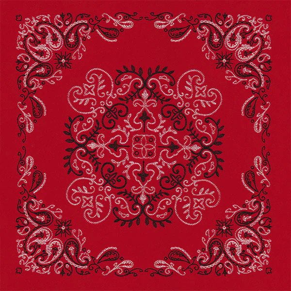 Delicate Paisley Pattern Bandana Pillow Pair - Image 6