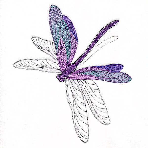 Delicate Shadows Dragonfly - Image 7