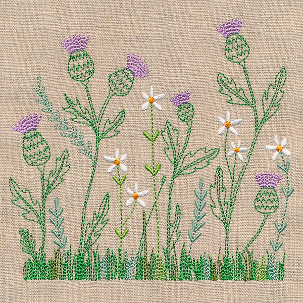 Delicate Thistle in Bloom - Image 3
