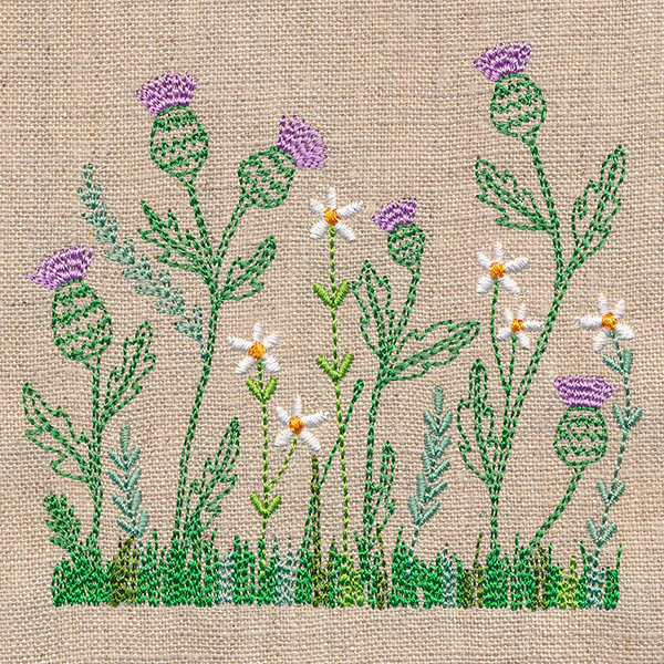 Delicate Thistle in Bloom - Image 4