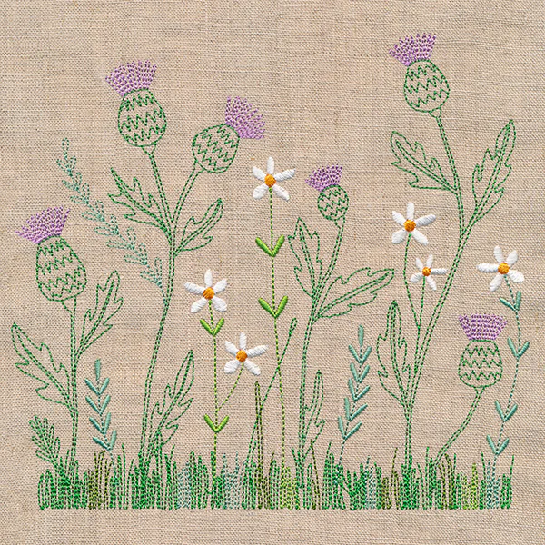 Delicate Thistle in Bloom - Image 5