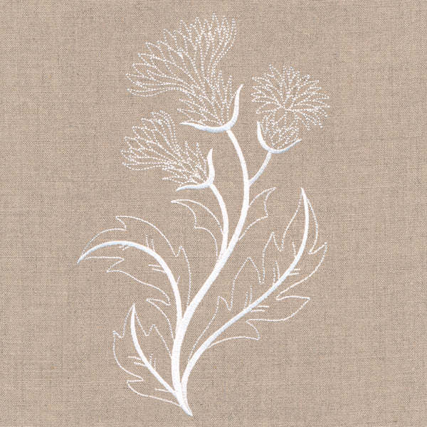 Delicate Thistle Stems - Image 2