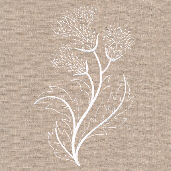 Delicate Thistle Stems - Image 3