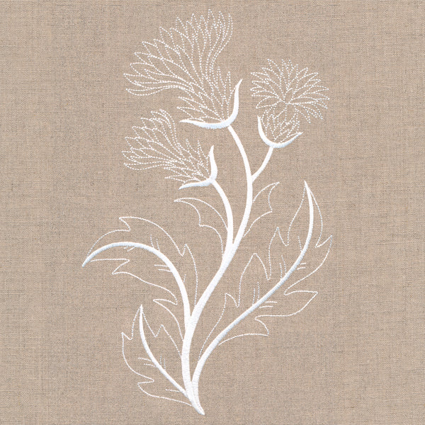 Delicate Thistle Stems - Image 6