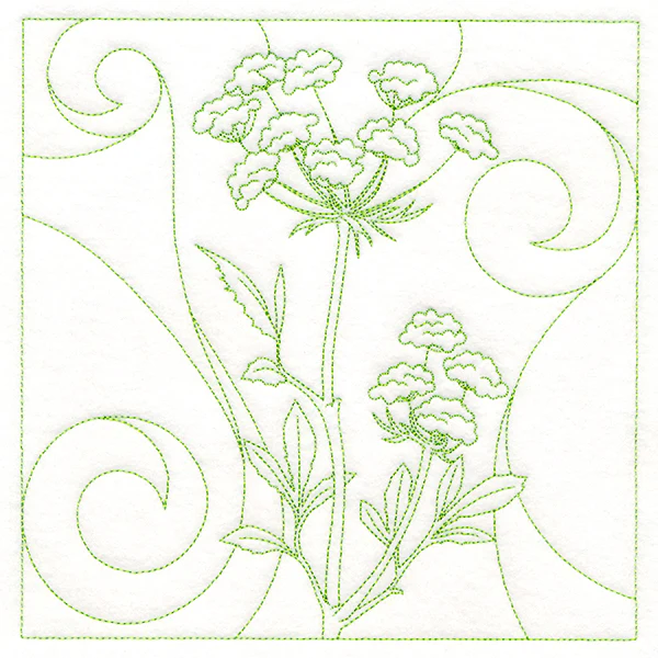 Delicate Wildflowers - Queen Anne's Lace - Image 2
