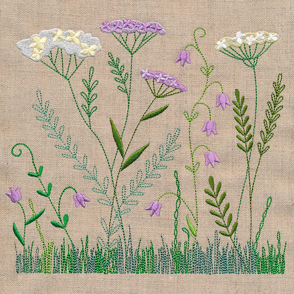 Delicate Yarrow in Bloom - Image 5