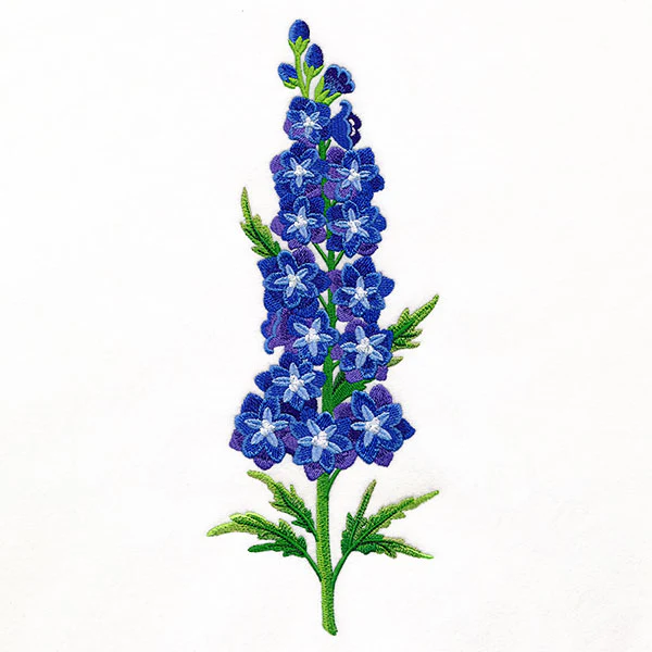 Delight and  Belladonna Delphinium Tall Border