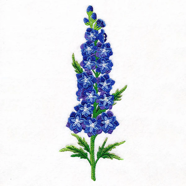 Delight and  Belladonna Delphinium Tall Border - Image 5