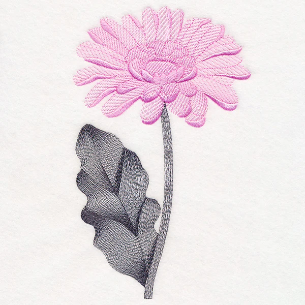 Delightful Daisy - Image 3