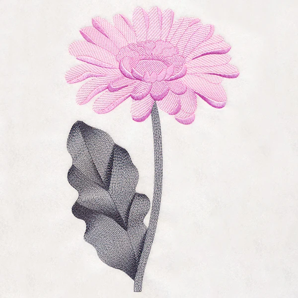 Delightful Daisy - Image 6