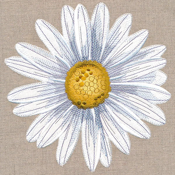Delightful Daisy (Heirloom Applique) - Image 9