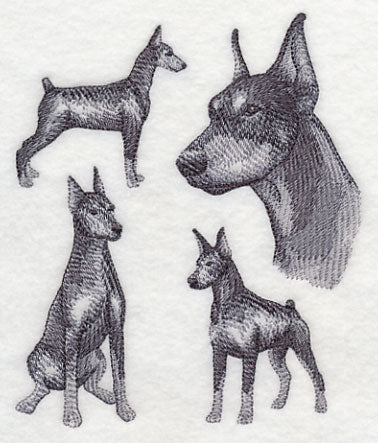 Doberman Sketch (Docked Tail and Cropped Ears) - Image 3