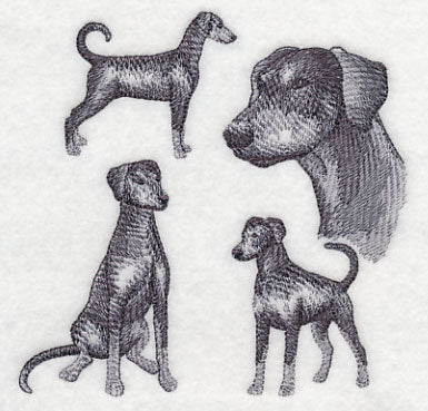 Doberman Sketch (Full Tail and Ears) - Image 4